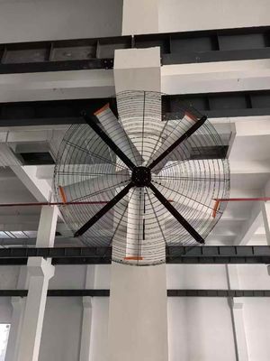Buon prezzo 500W Industrial Oscillating Fan Wall Mount con movimento d'aria su larga scala in linea
